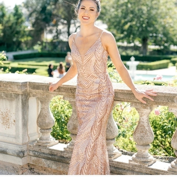 NWT Revelry Camilla Geo Sequin Gown Dress 8 Mesh Illusion Plunge Neck - Picture 1 of 8